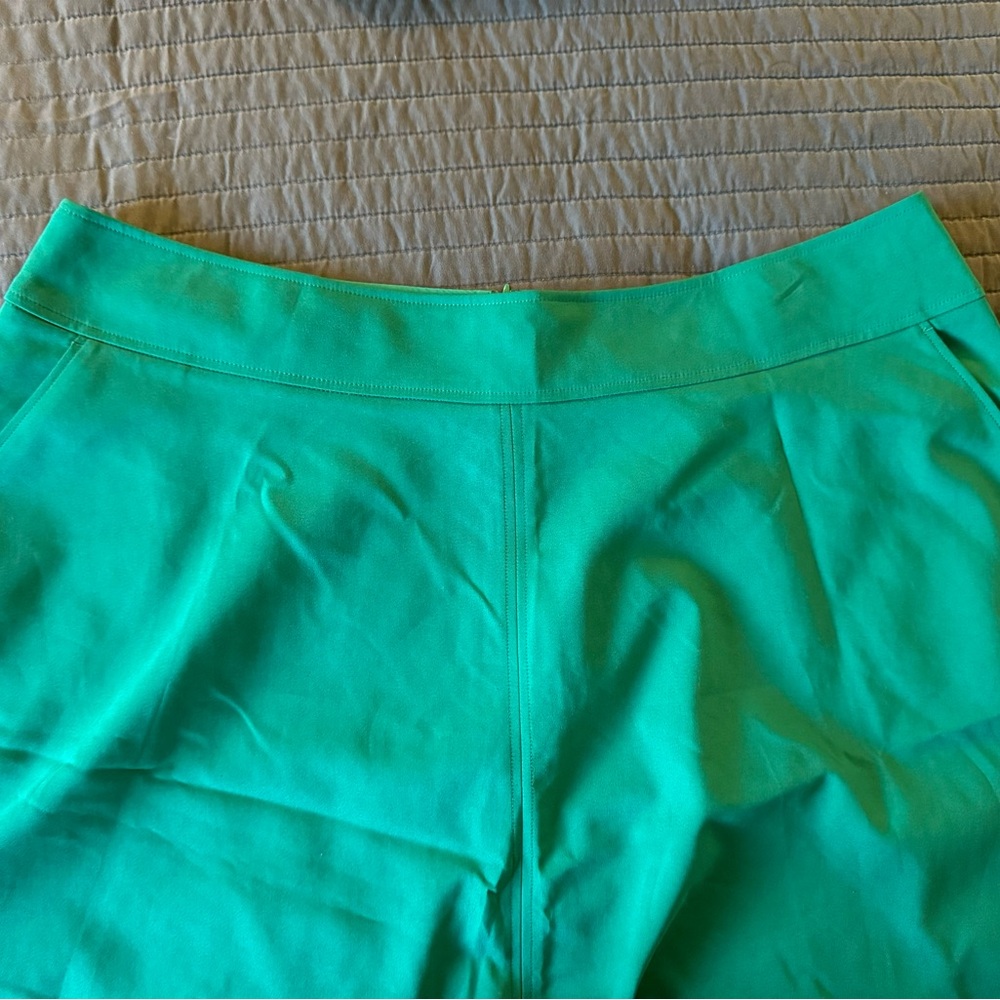 Lane Bryant Circle Skirt